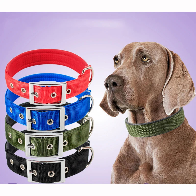 ComfortFit Dog Collar