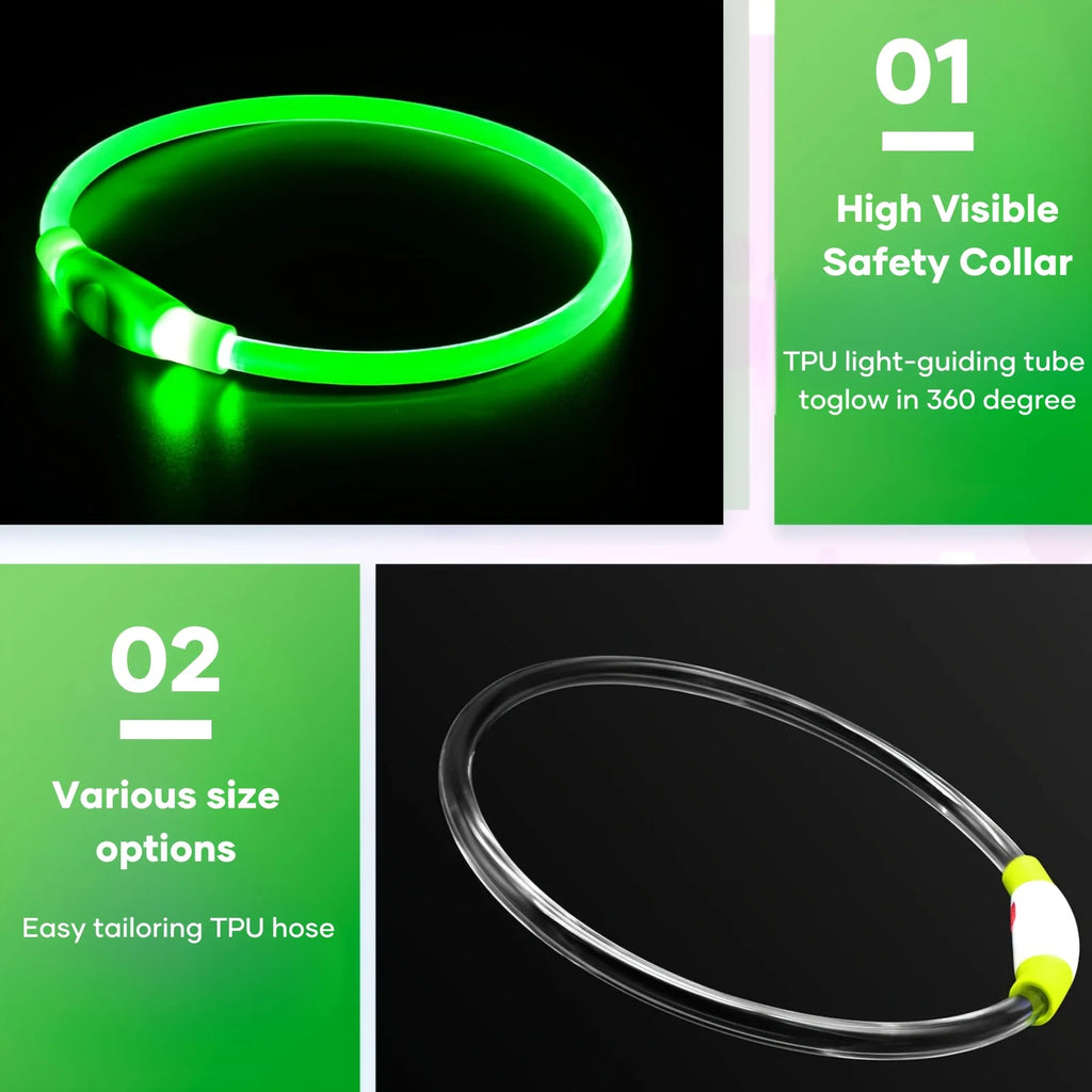 Safety Glow Dog Collar