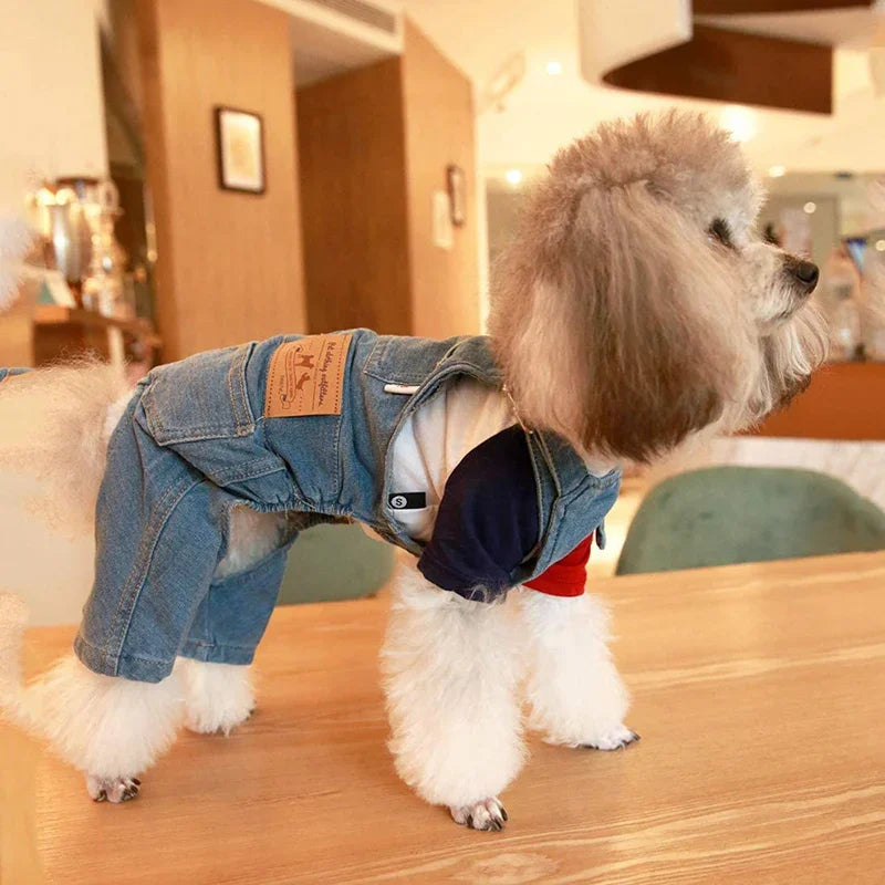 JeanPaw Jumpsuit