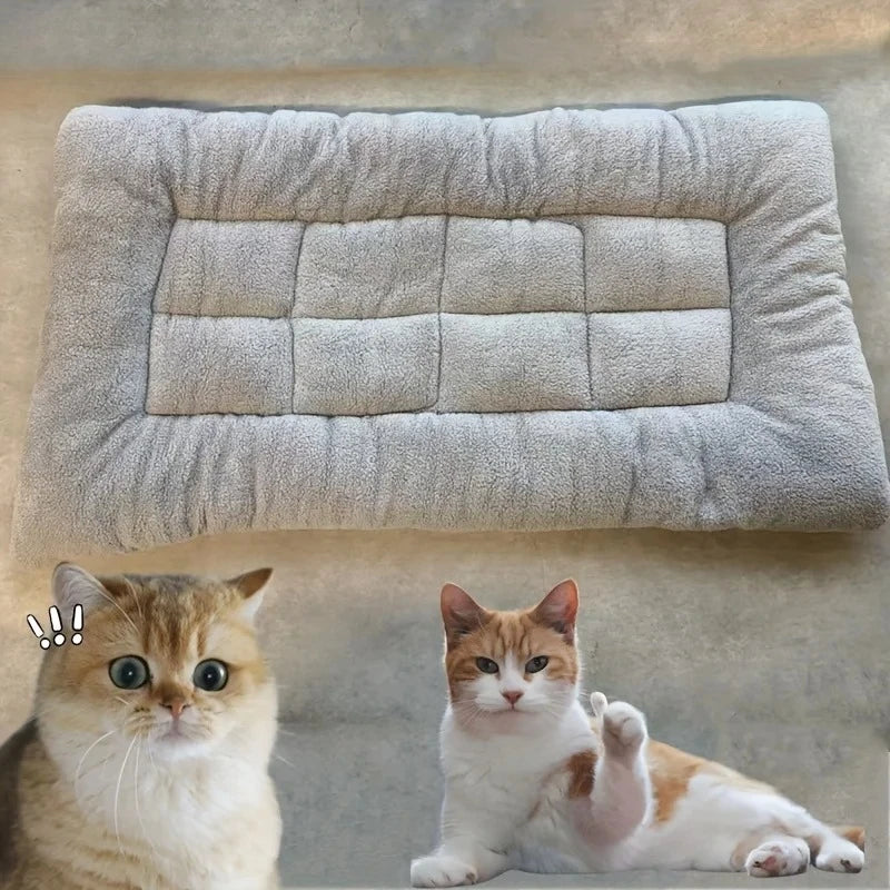 PawCloud Plush Mat