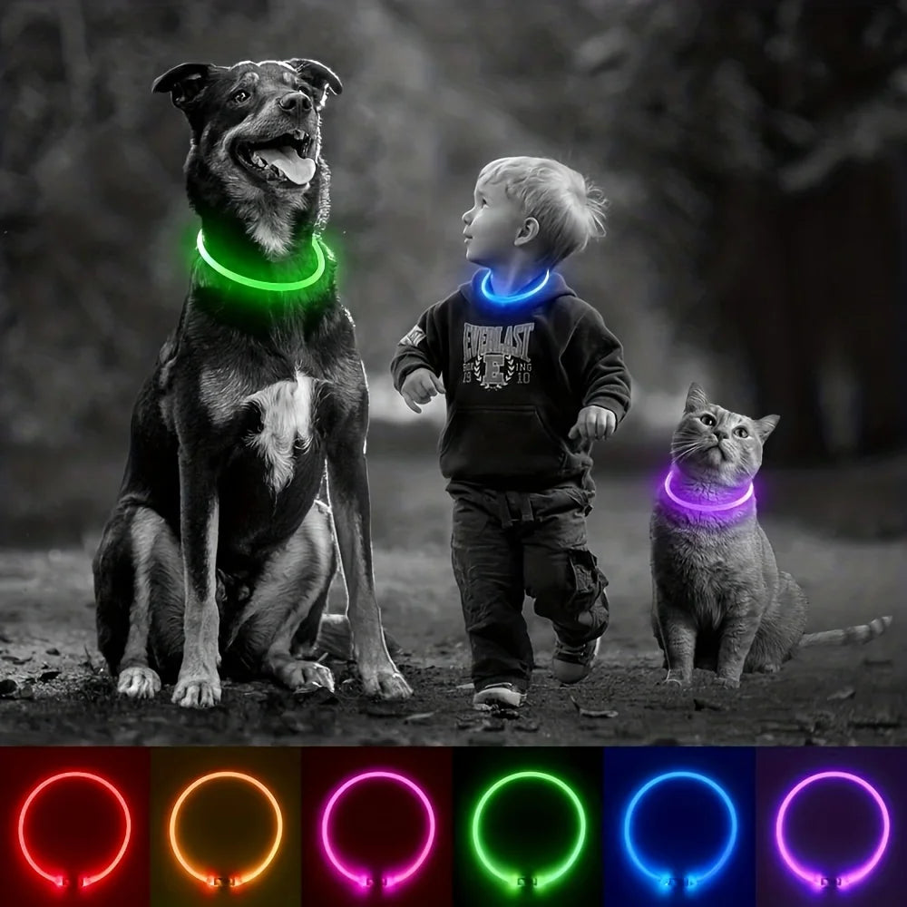 Safety Glow Dog Collar