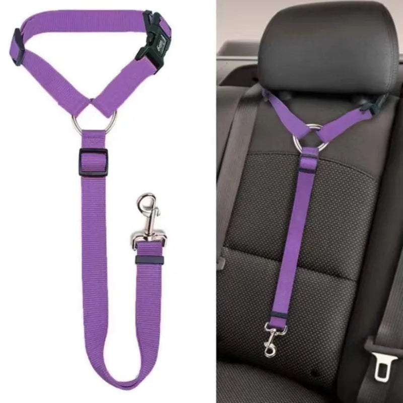 SecurePaw Travel Belt