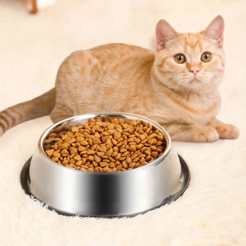 Anti-Ant Pet Bowl
