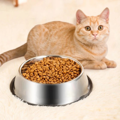 Anti-Ant Pet Bowl