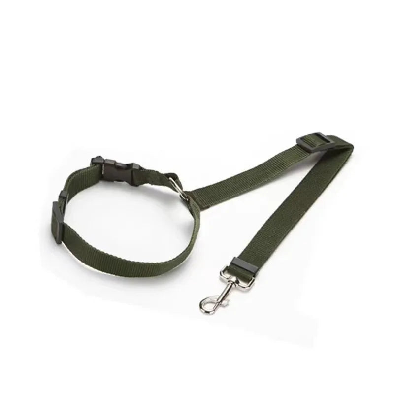 SecurePaw Travel Belt