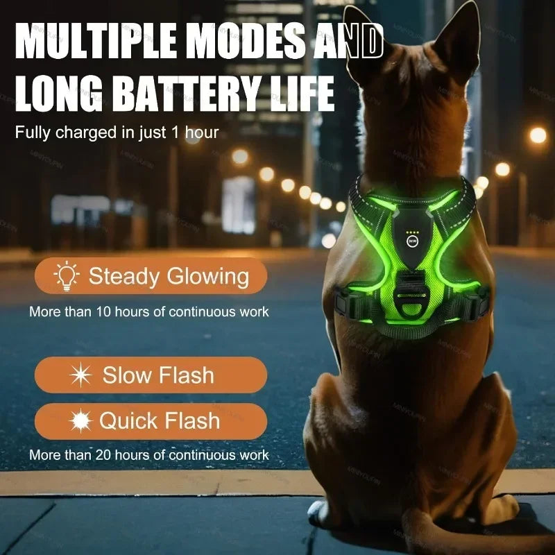 SafeGlow Dog Harness