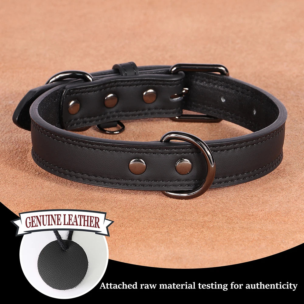 Classic Leather Dog Collar