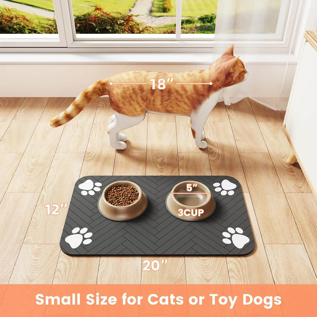 QuickDry Paw Mat