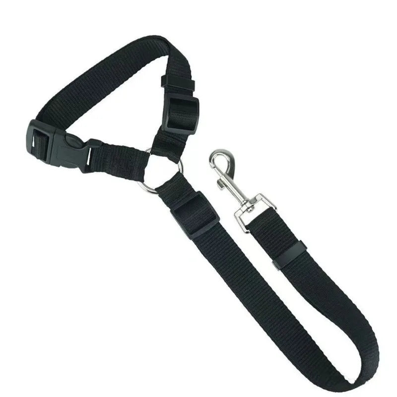 SecurePaw Travel Belt