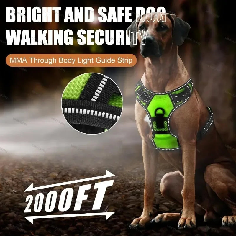 SafeGlow Dog Harness