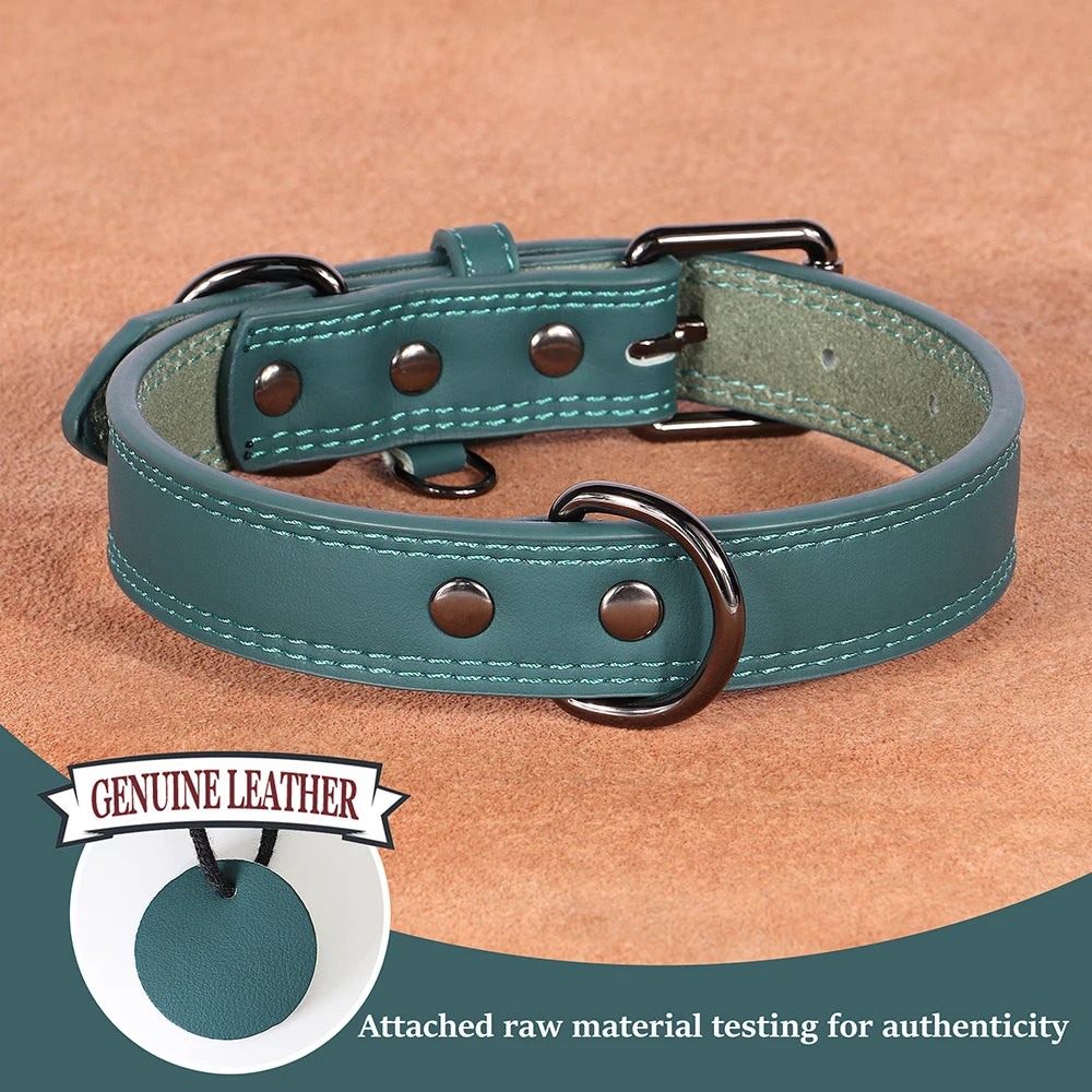 Classic Leather Dog Collar