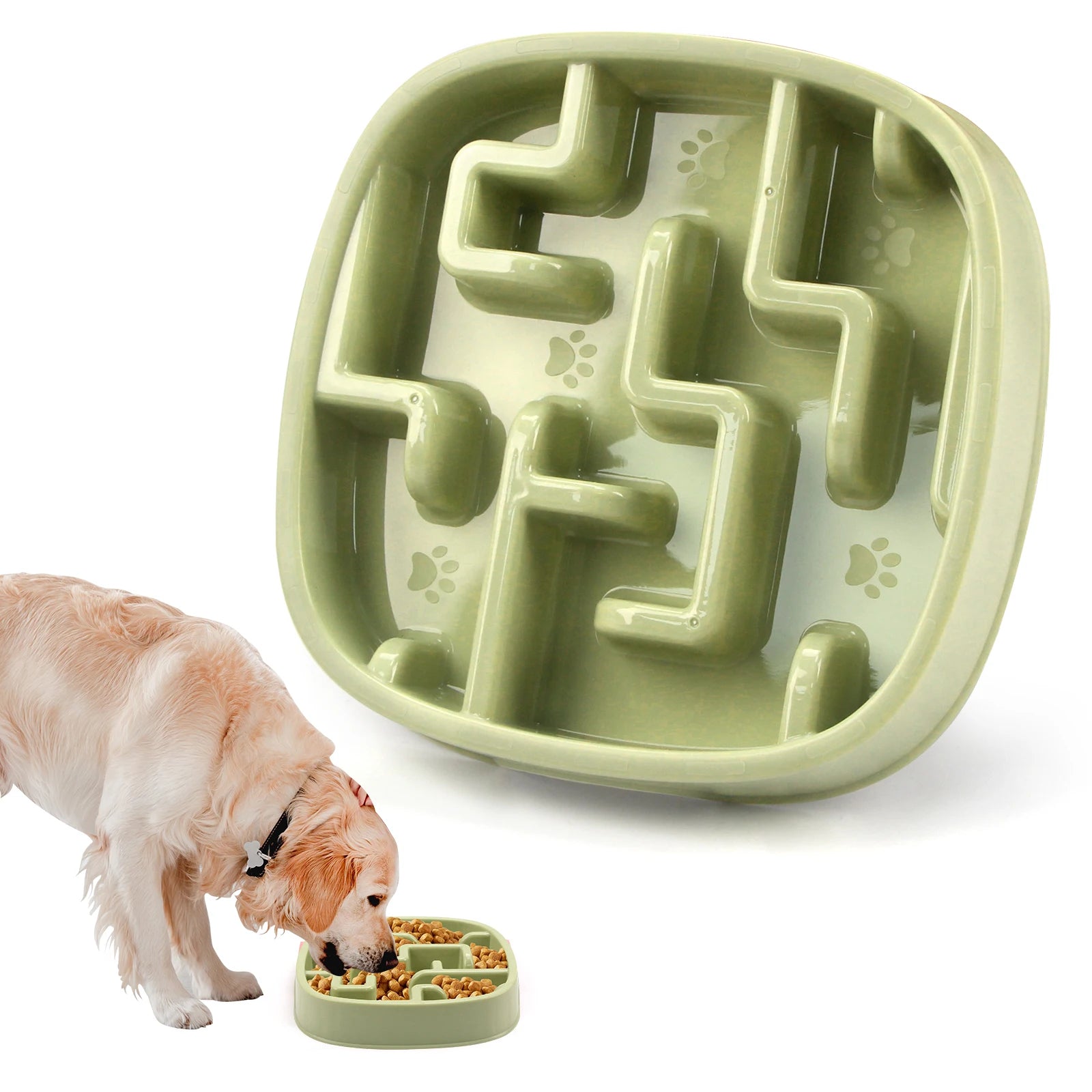 PawSlow Anti-Gulp Bowl