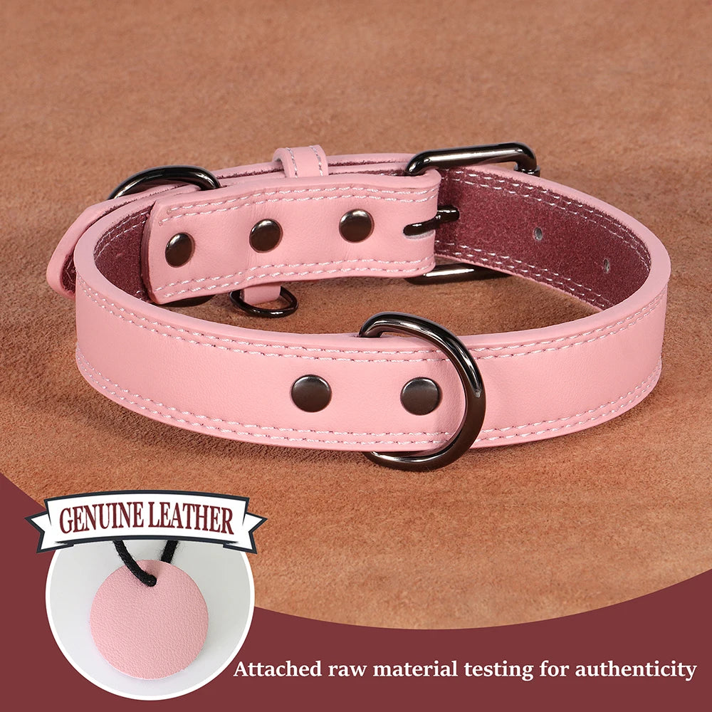 Classic Leather Dog Collar