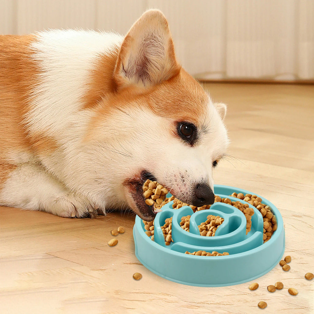 PawSlow Anti-Gulp Bowl
