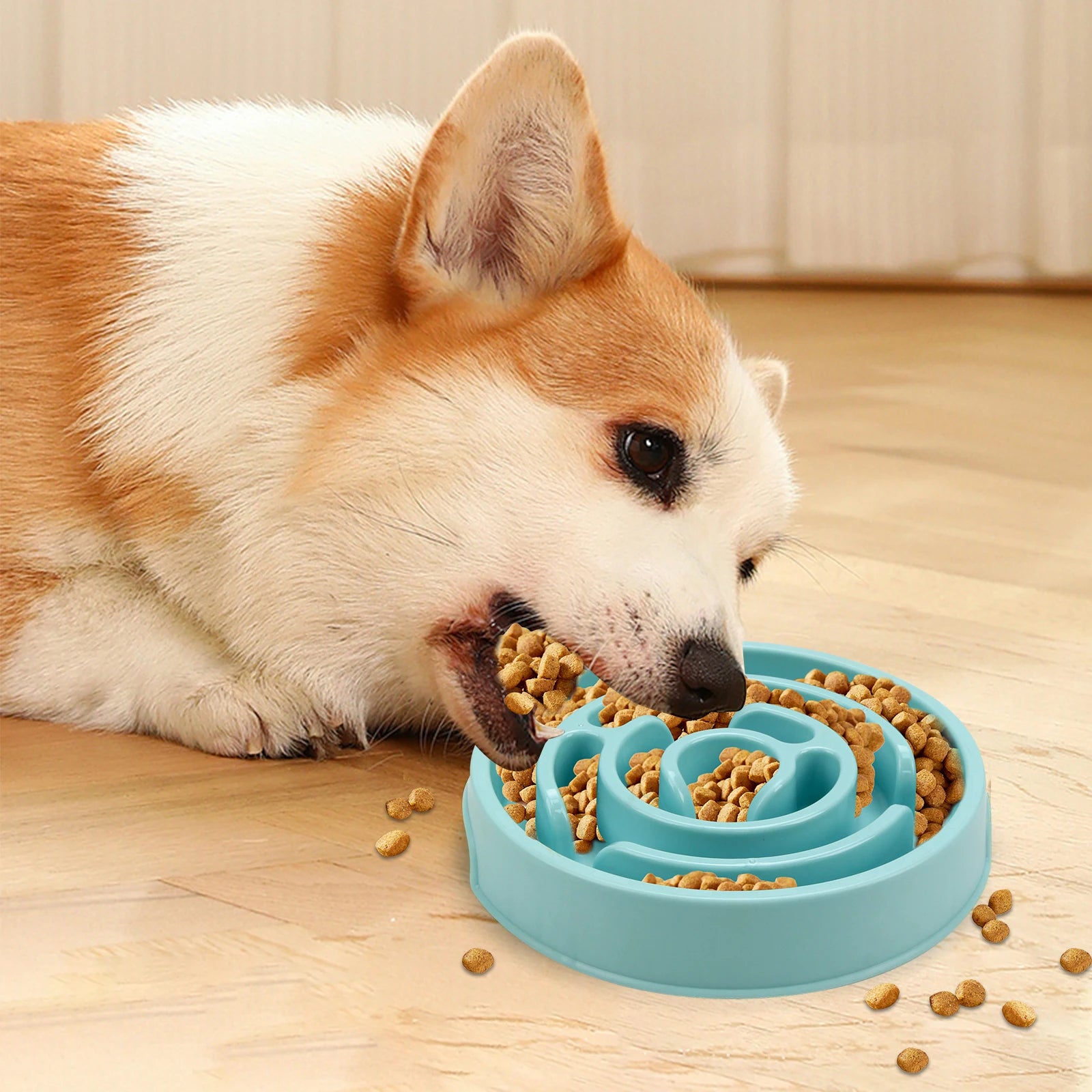 PawSlow Anti-Gulp Bowl