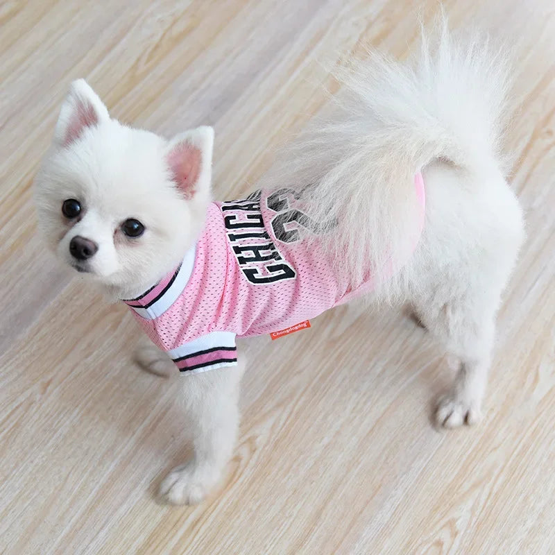 PawBall Sports Vest