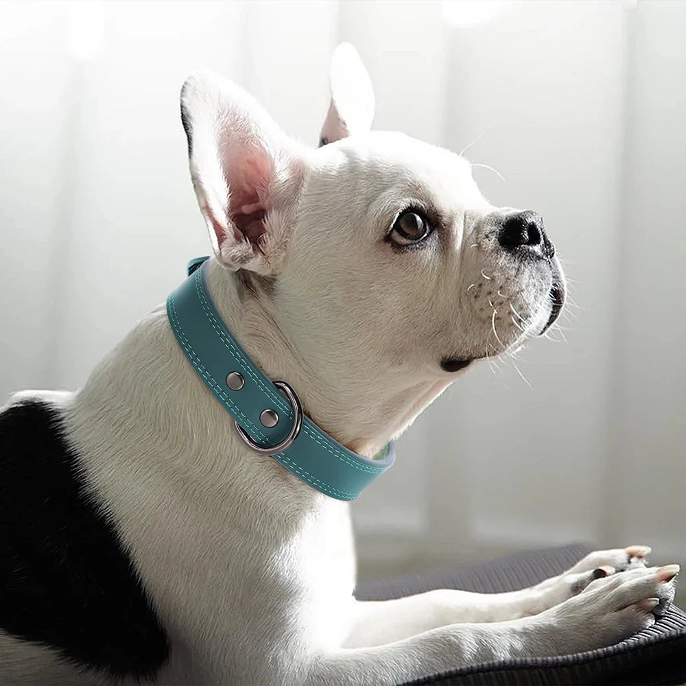 Classic Leather Dog Collar