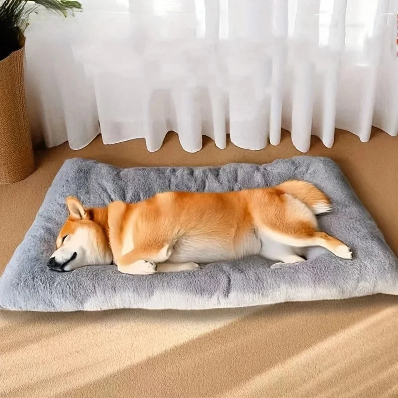 PawCloud Plush Mat
