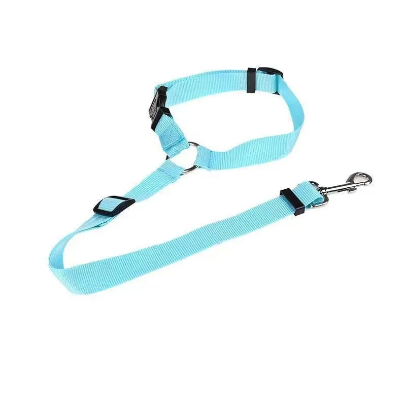 SecurePaw Travel Belt