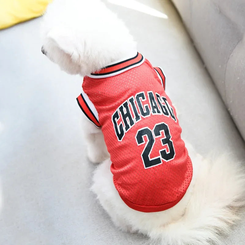 PawBall Sports Vest