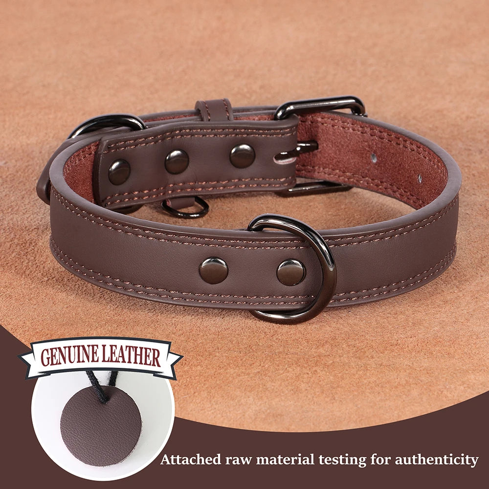 Classic Leather Dog Collar
