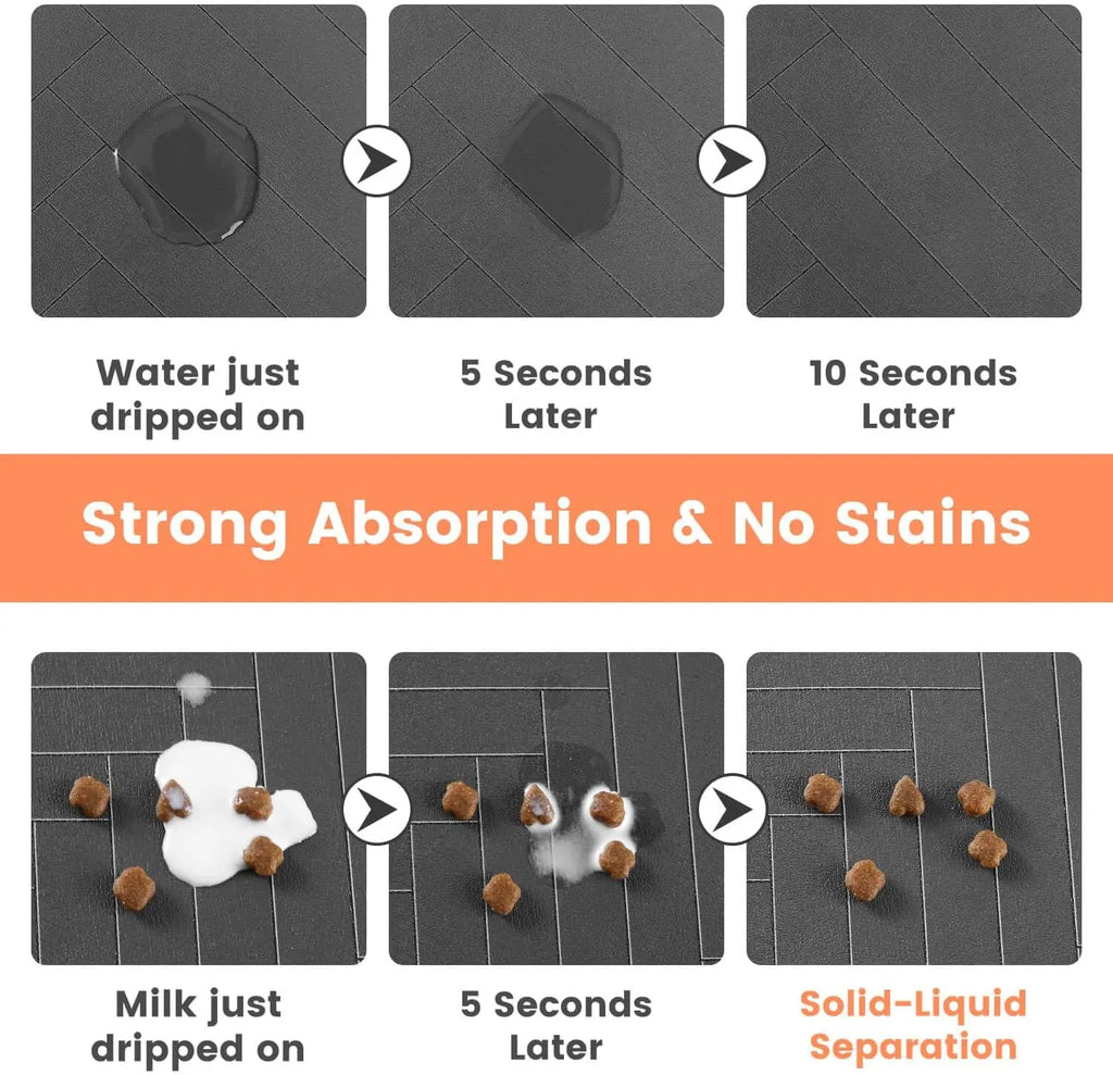 QuickDry Paw Mat