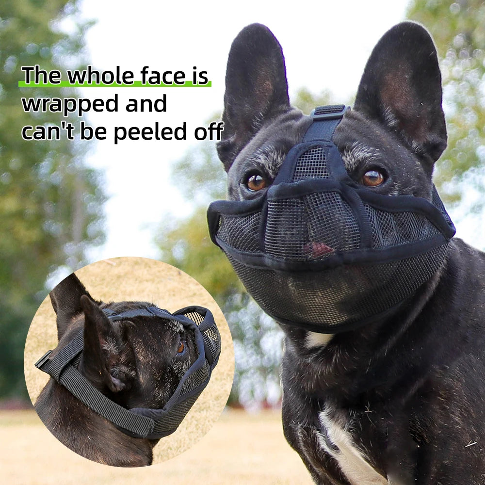 SnoutSafe Muzzle