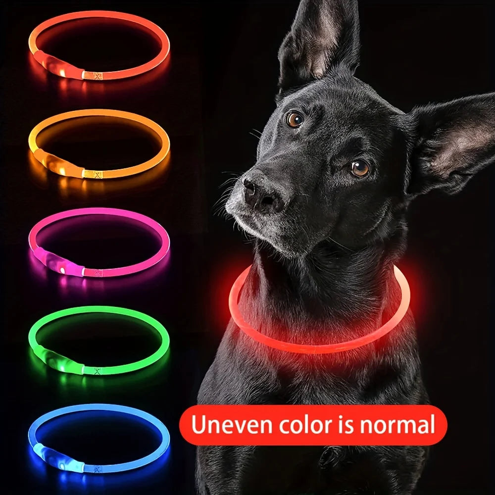 Safety Glow Dog Collar