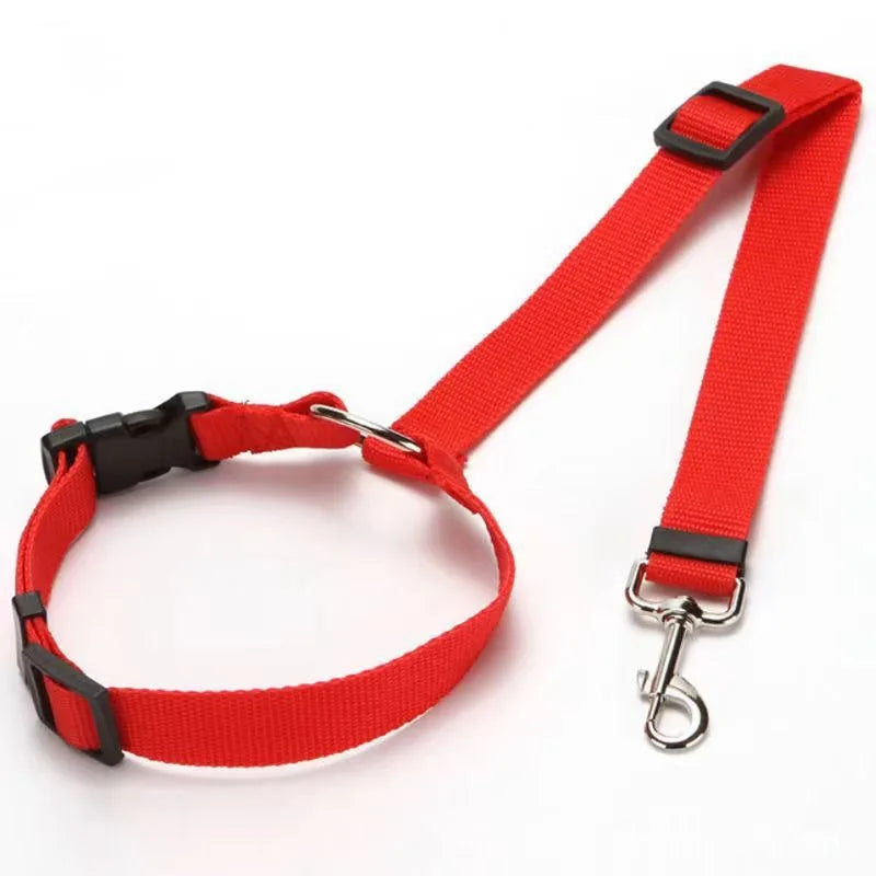 SecurePaw Travel Belt