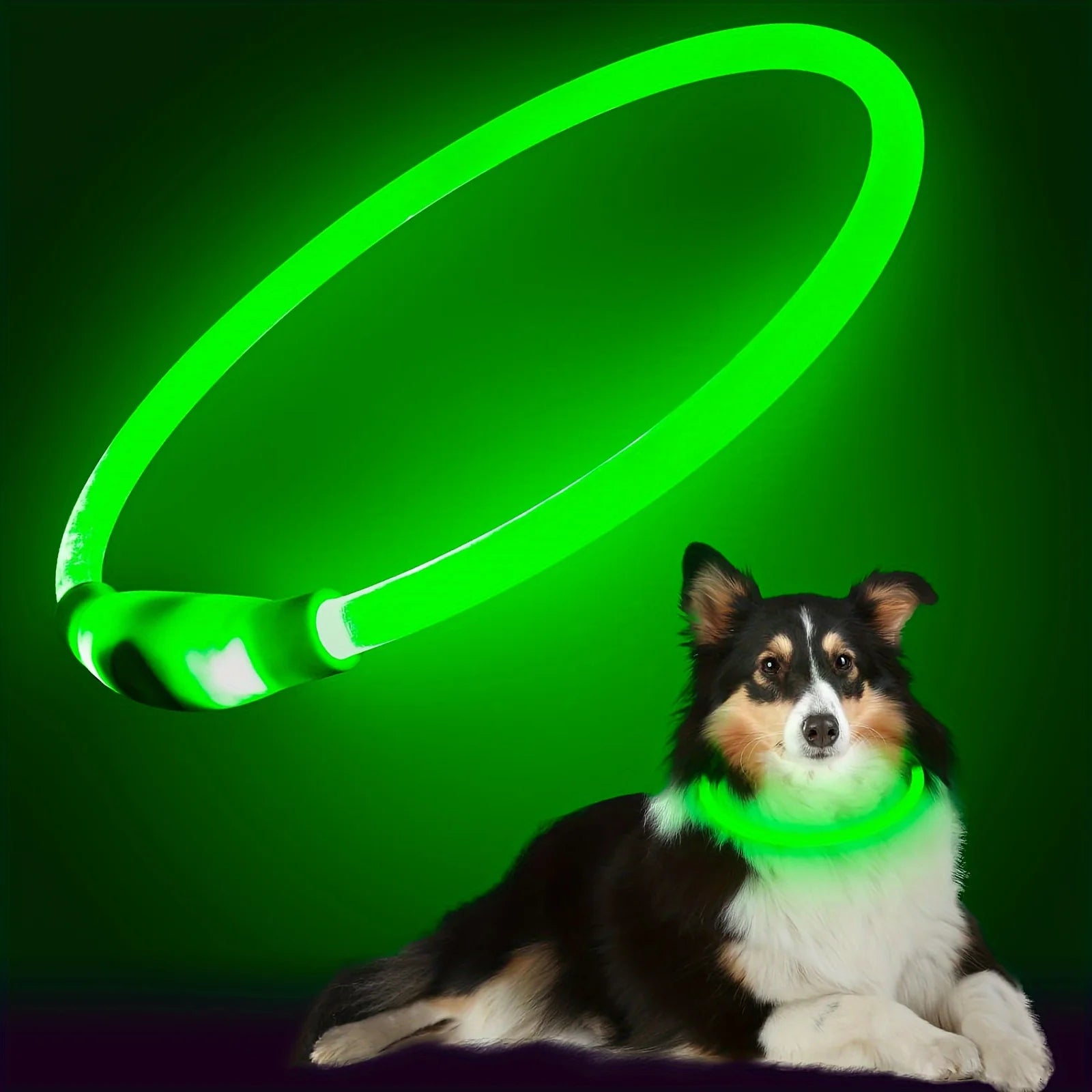Safety Glow Dog Collar