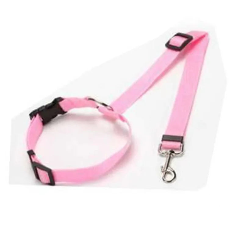 SecurePaw Travel Belt