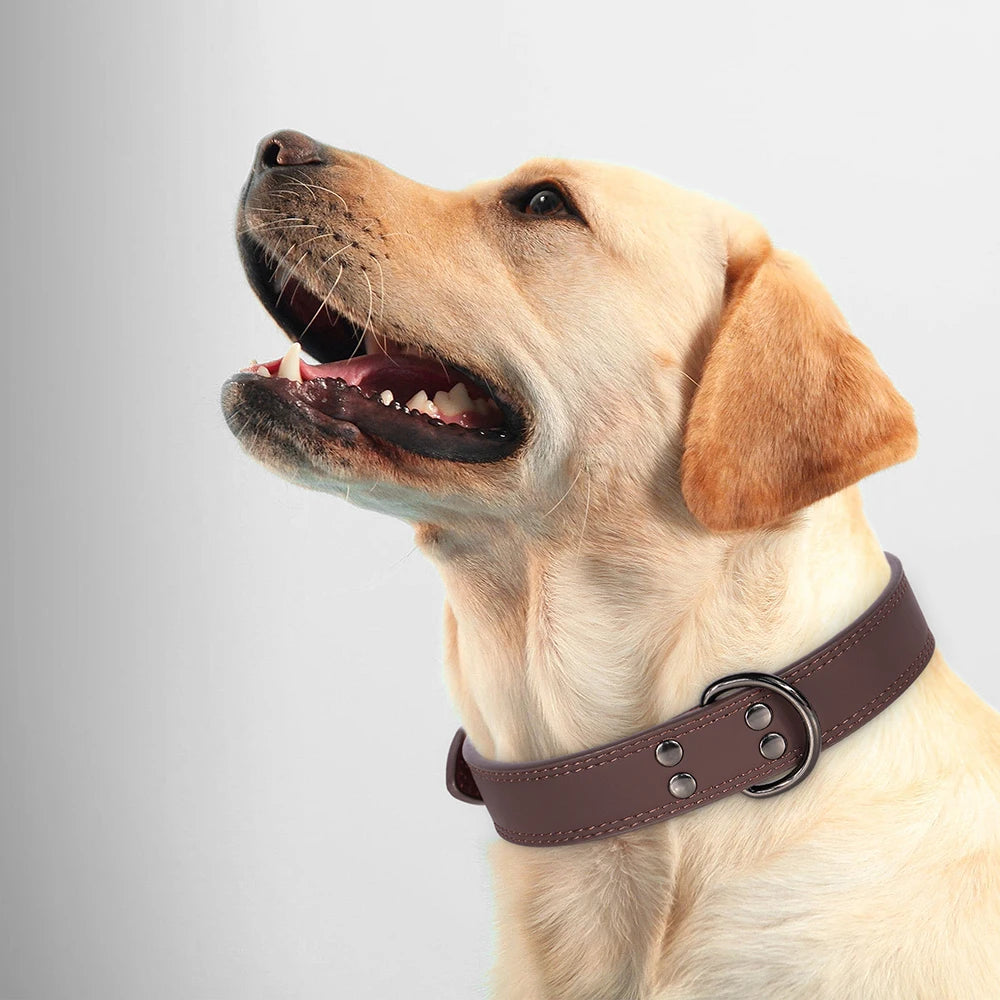 Classic Leather Dog Collar
