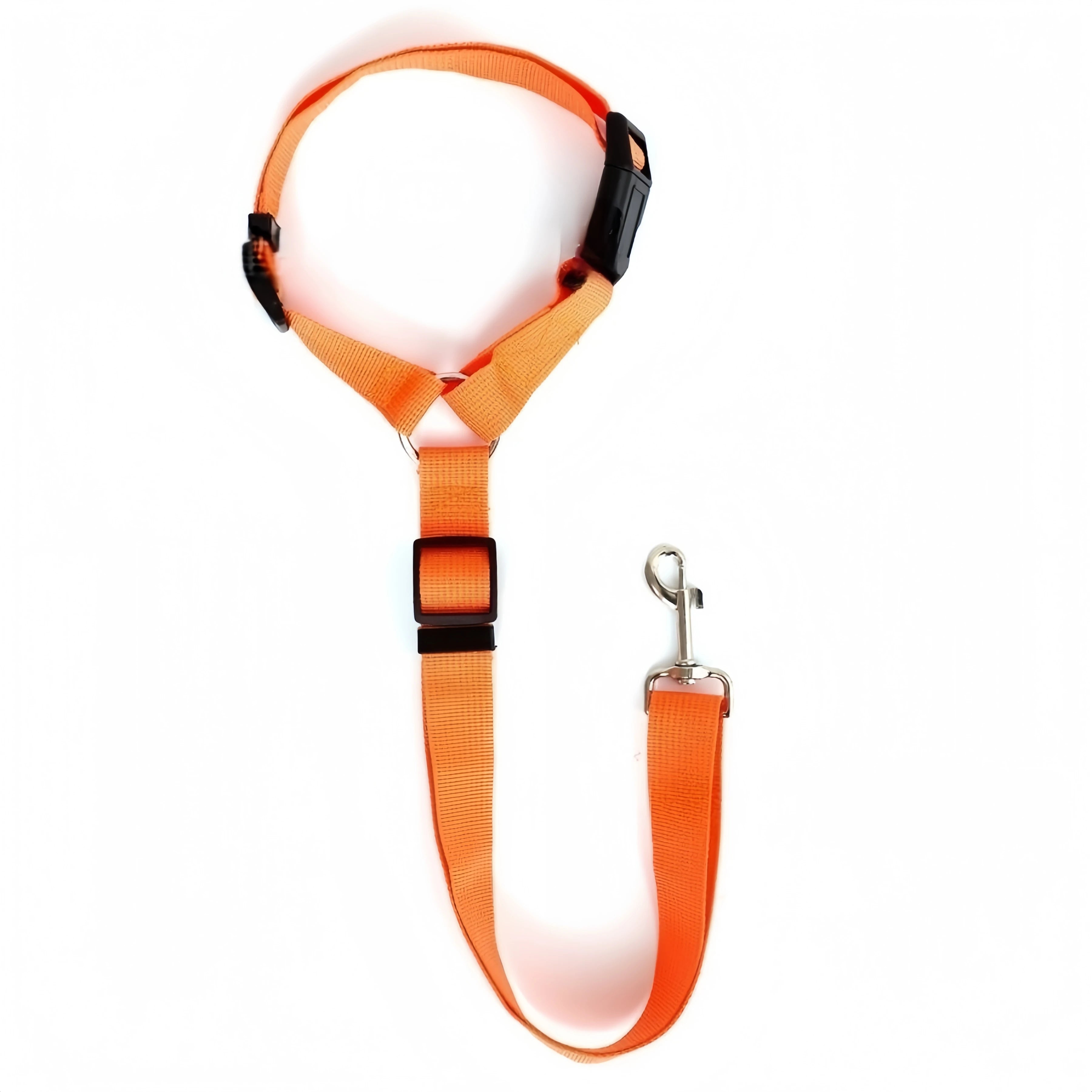 SecurePaw Travel Belt
