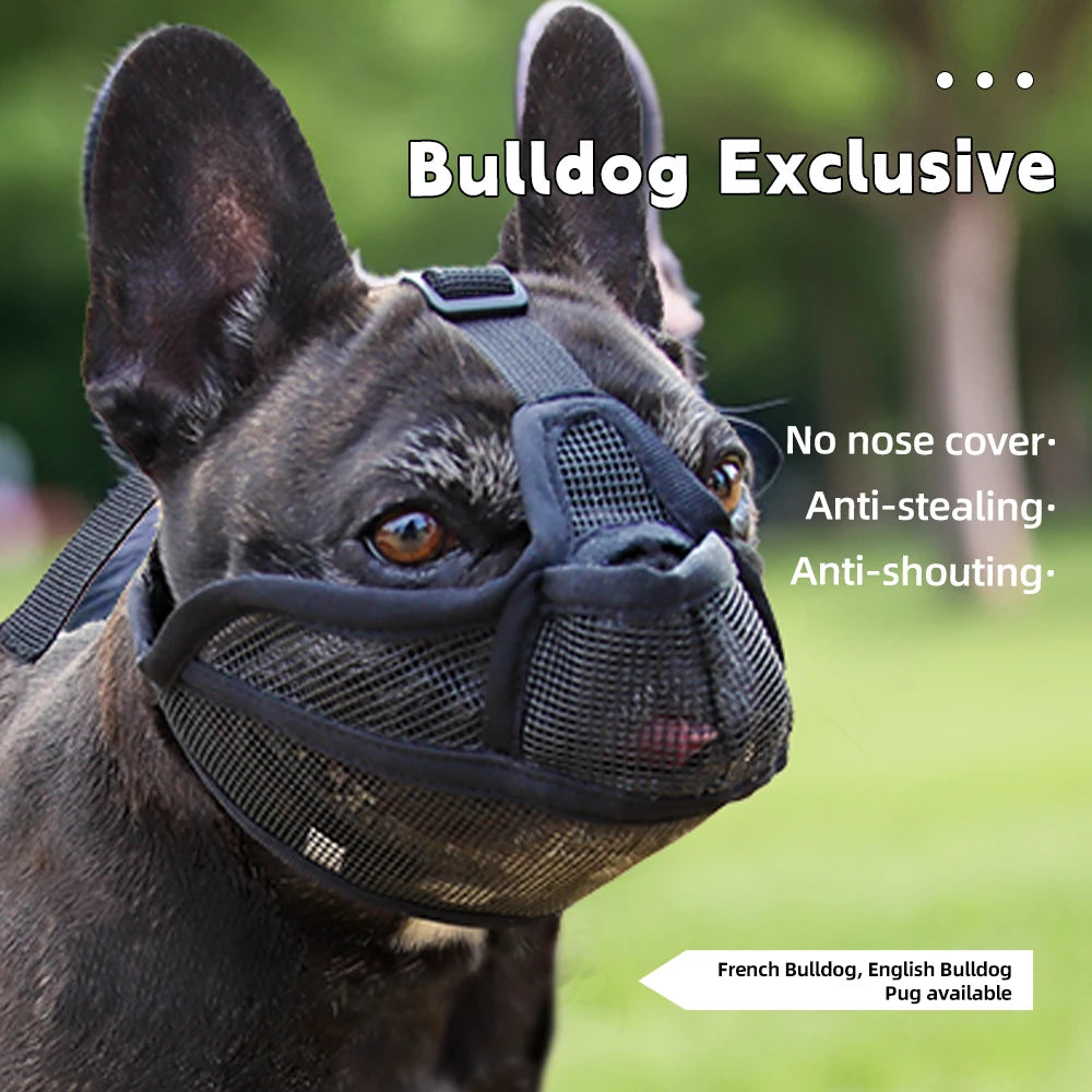 SnoutSafe Muzzle