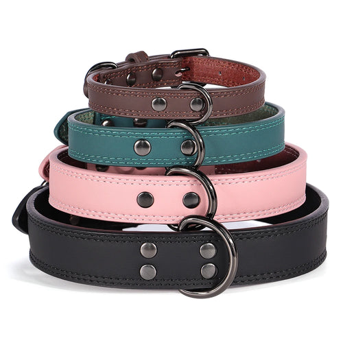 Classic Leather Dog Collar