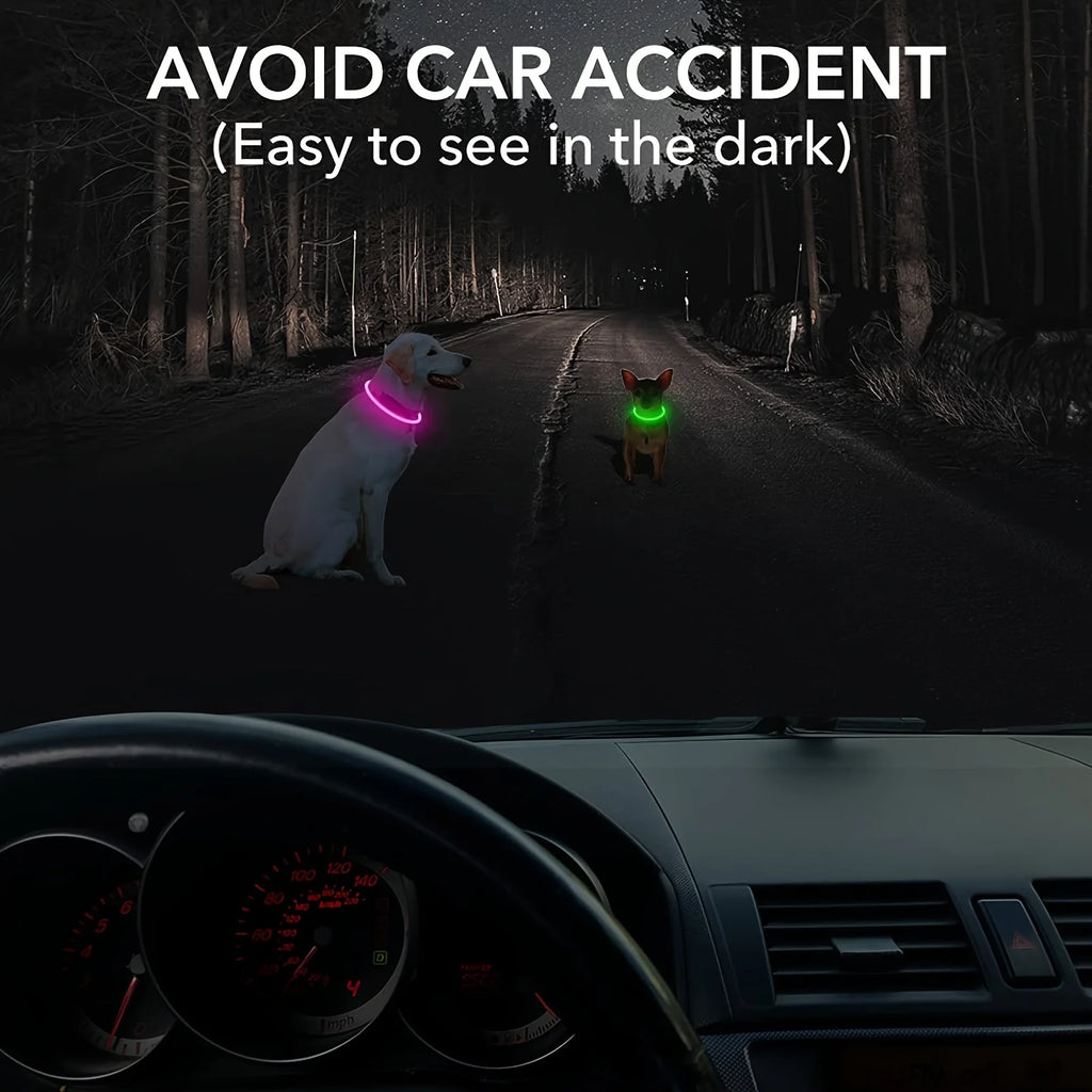Safety Glow Dog Collar