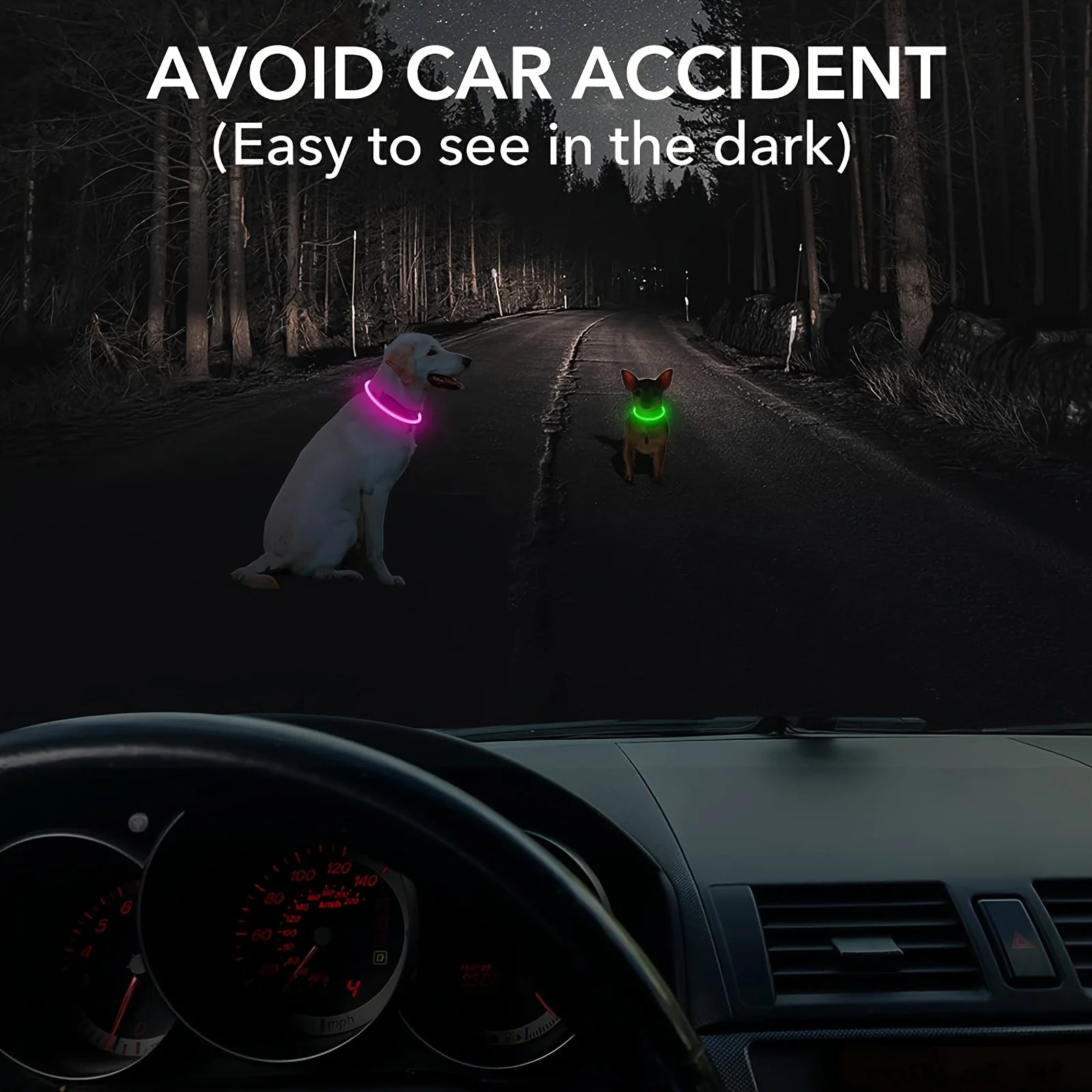 Safety Glow Dog Collar