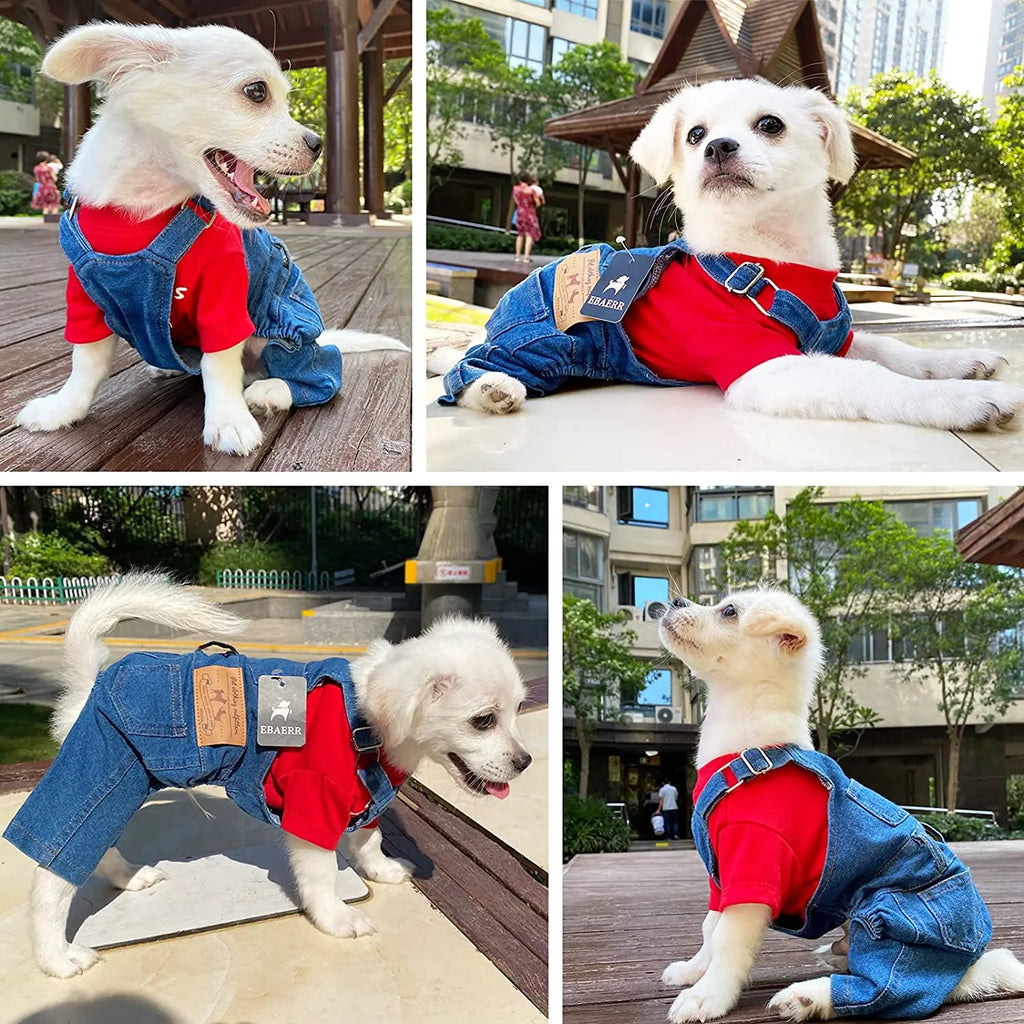 JeanPaw Jumpsuit