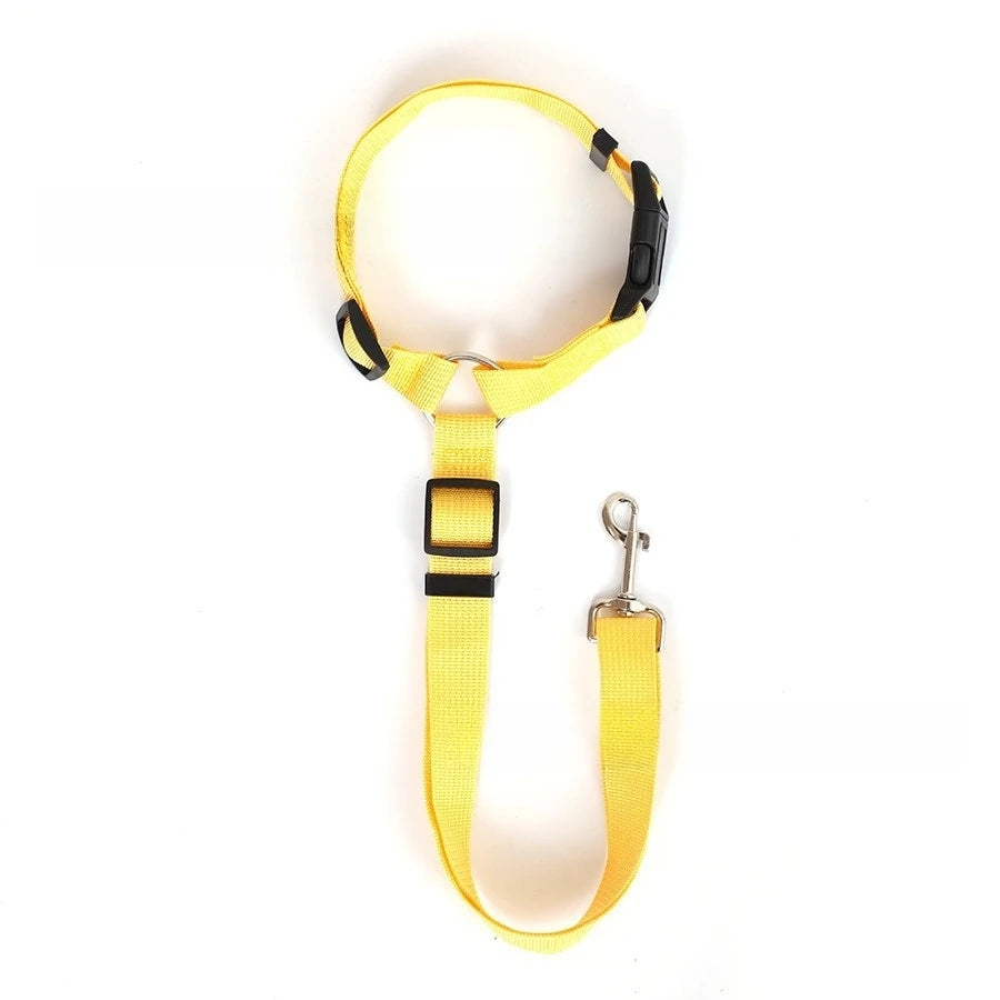 SecurePaw Travel Belt