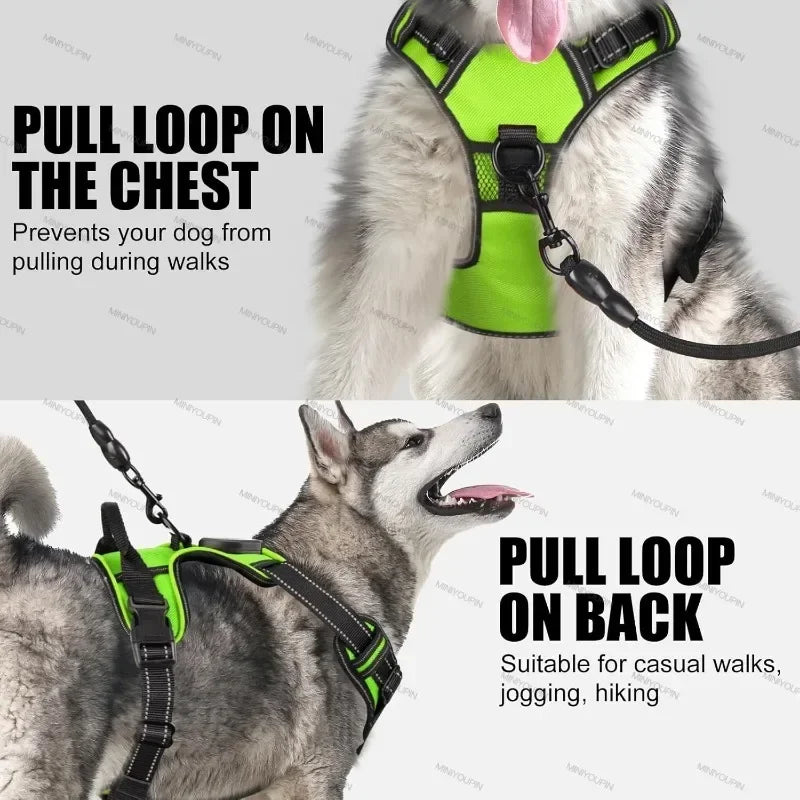 SafeGlow Dog Harness