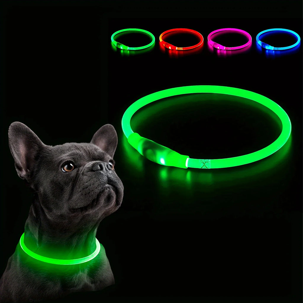 Safety Glow Dog Collar