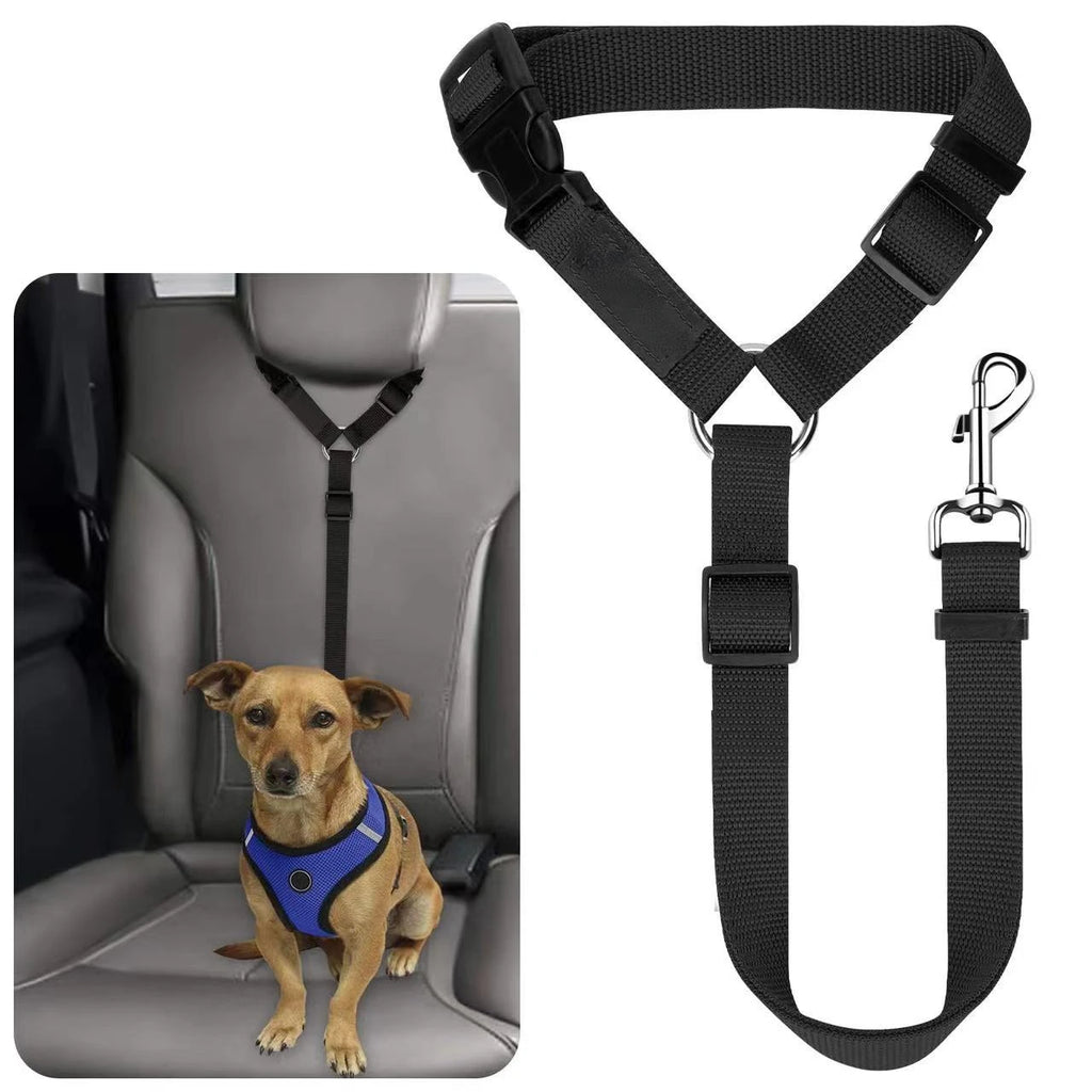 SecurePaw Travel Belt