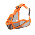 SnoutSafe Muzzle